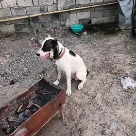 It