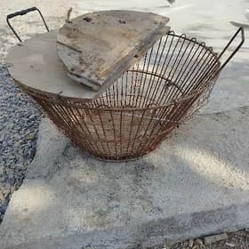 клетки