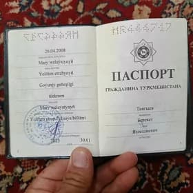 Paspyrt yitdi