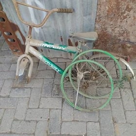Tigir.300lik