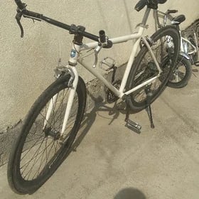 tigyr