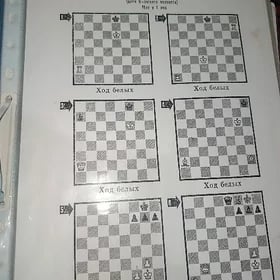 шахматы