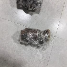 benzer nasos 2.5 öküz kelle