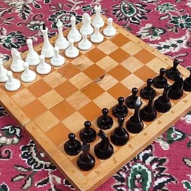 Шахматы