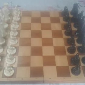 Шахматы и Шашки