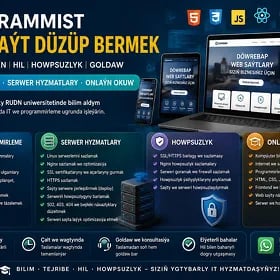 Programmist Web sayt döretmek