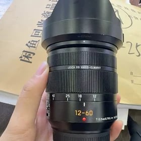lumix 12 60