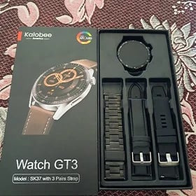 Watch GT3