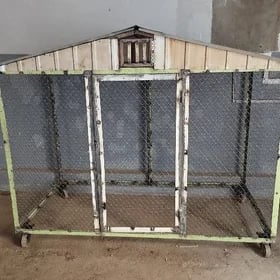 ketek