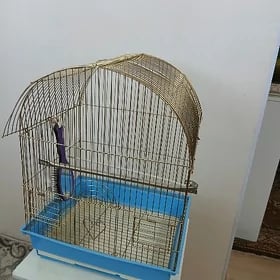клетка