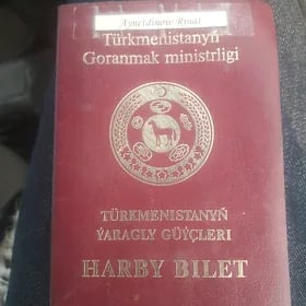 Ýiten Waenniblet