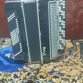 баян