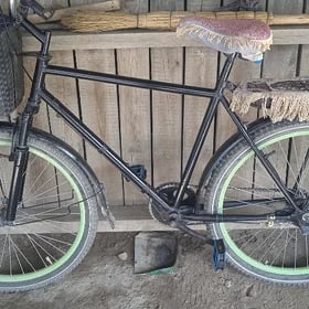 tigir