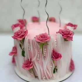 "Kümüş Aý" tort/торты