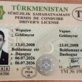 prawa tapyldy: Wepayew Geldimy