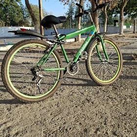 Turkmenistan tigir