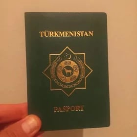Pasport yitdi