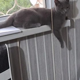 smoki