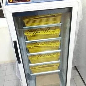 juyje inkubator
