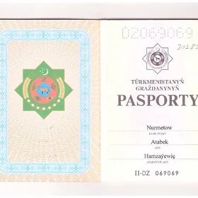 pasport yitdi