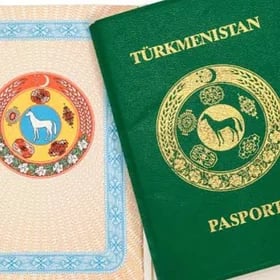 Pasport yitdi