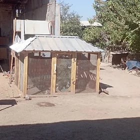 juyje ketek