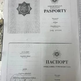 Pasport Yitdi