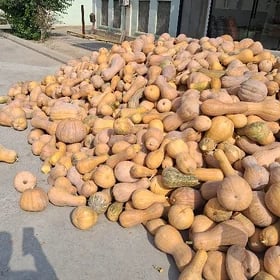 kàdi