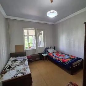 Нагина панельный Гауданка