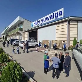 Haly moyka стирка ковров