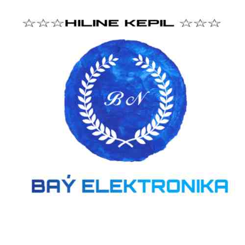 Bay elektronika