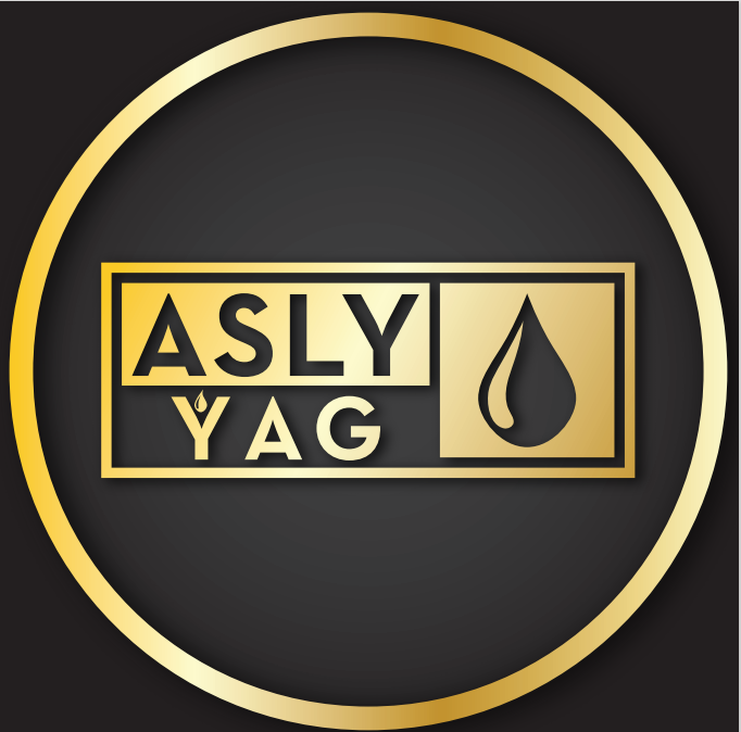 ASLY ÝAG