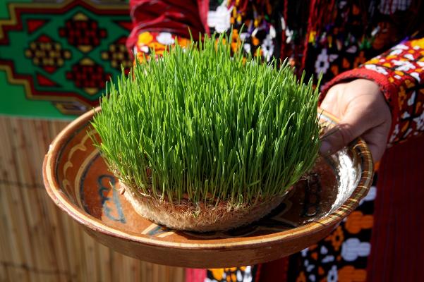 Посол Туркменистана в Баку принял участие в мероприятии МФТКН по случаю праздника Новруз