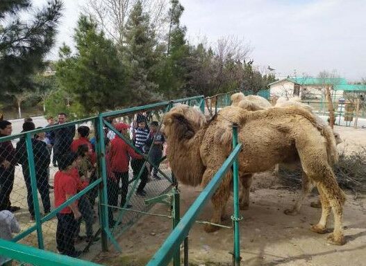 Aşgabatdaky Janly tebigatyň milli muzeýi ýene-de işläp başlady