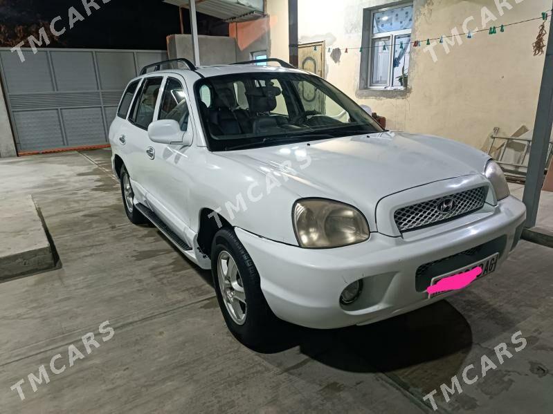 Hyundai Santa Fe 2003 - 70 000 TMT - Ашхабад - img 2