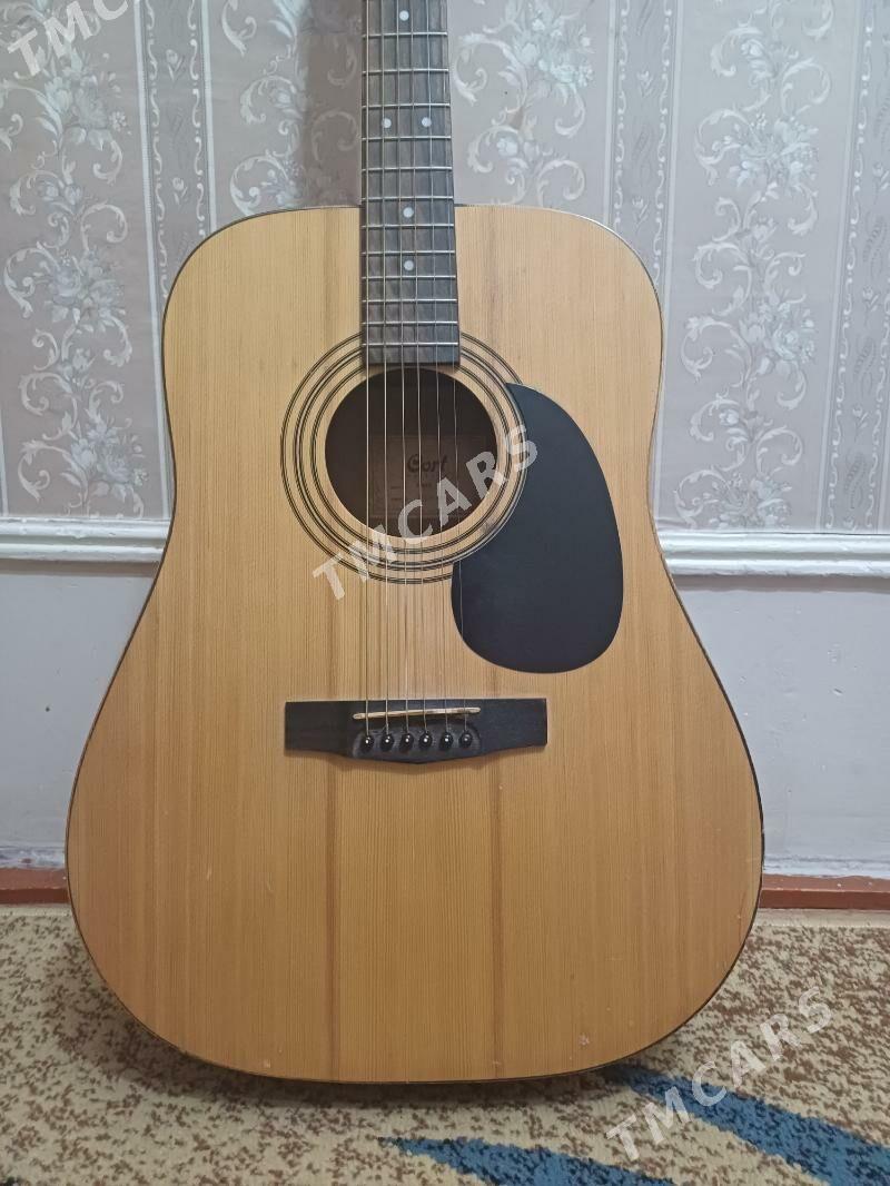 Gitara гитара - Türkmenabat - img 6