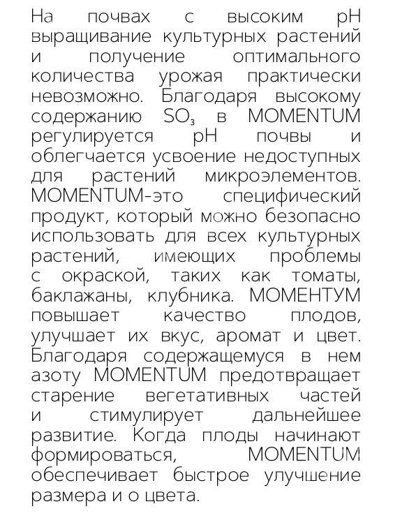 MOMENTUM - Ашхабад - img 2