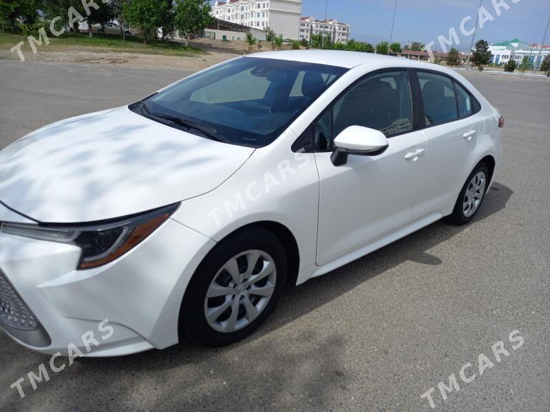 Toyota Corolla 2020 - 225 000 TMT - Хитровка - img 6