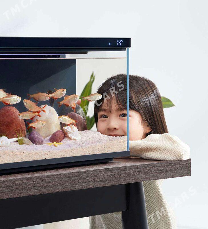 Mi Smart Aquarium - Aşgabat - img 2