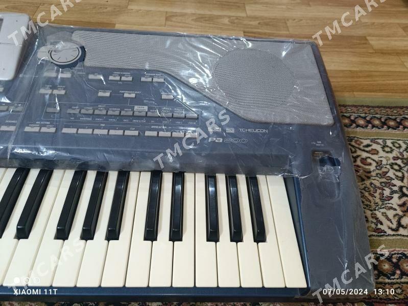 Korg pa800 - Гызыларбат - img 2