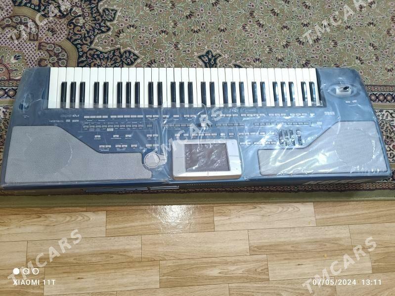 Korg pa800 - Гызыларбат - img 6