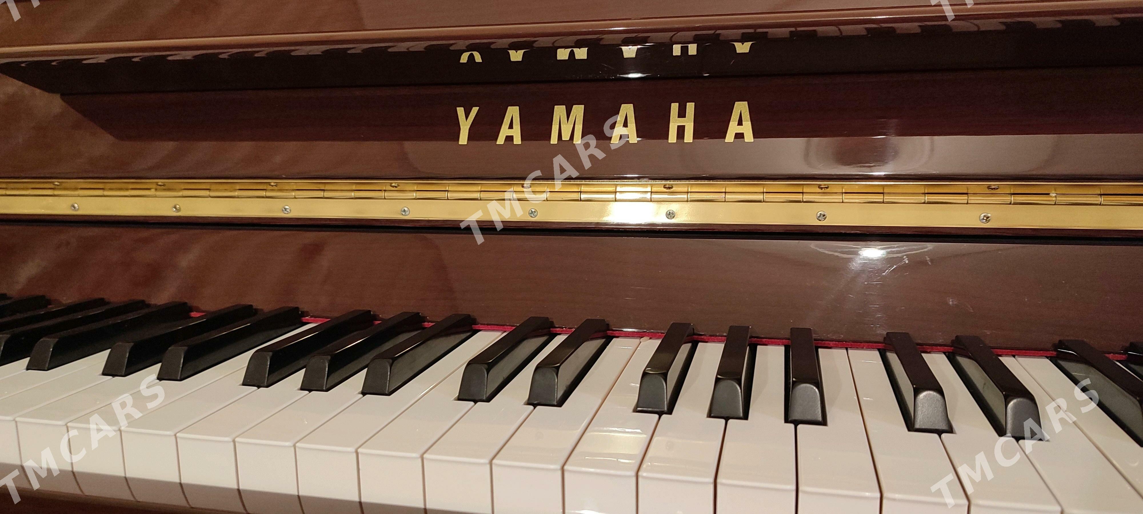 Pianino Yamaha пианино - Ашхабад - img 5