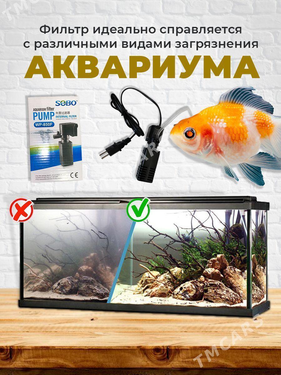 Фильтр до 40 литров аквариума - Туркменабат - img 2