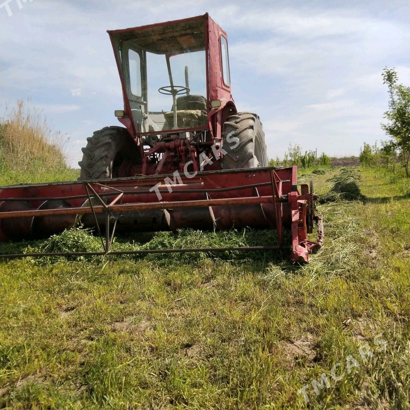 MTZ T-28 1989 - 80 000 TMT - Halaç - img 3