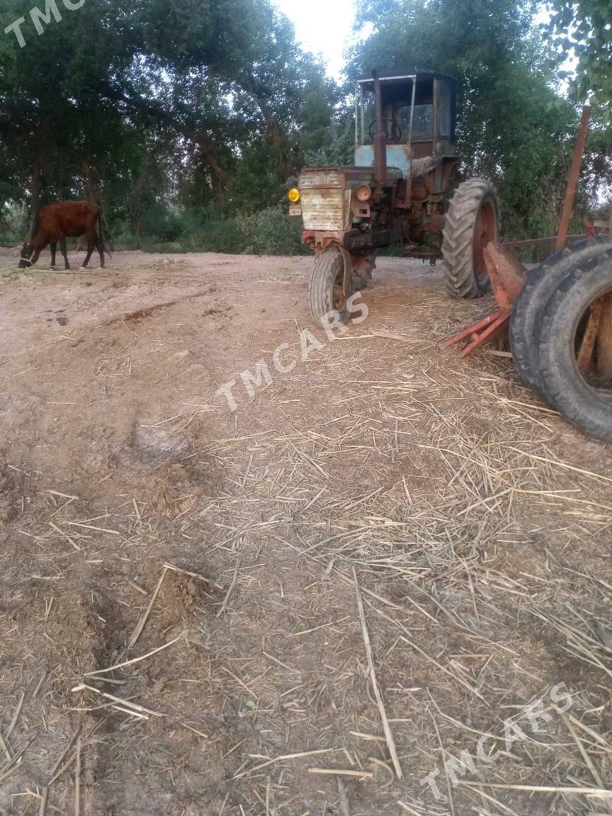 MTZ T-28 1990 - 14 000 TMT - Boldumsaz - img 2