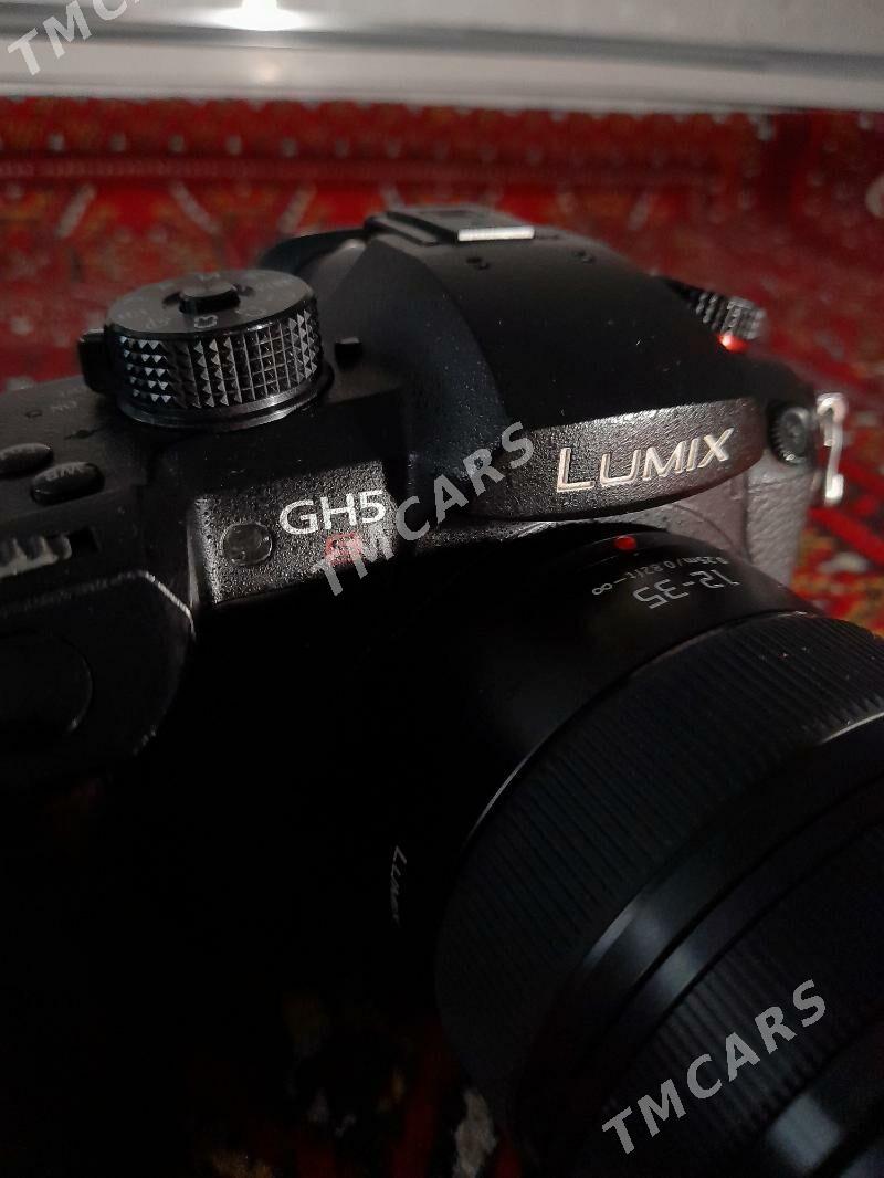 Panasonic Lumix GH5s - Мир 2 - img 7