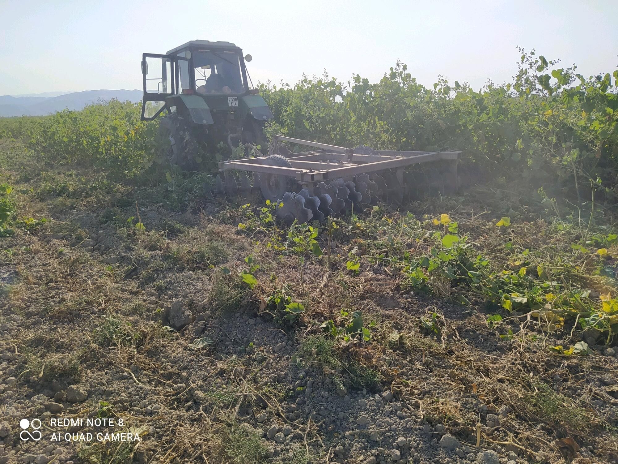 Mtz 55 000 TMT - Ак-Бугдайский этрап - img 2