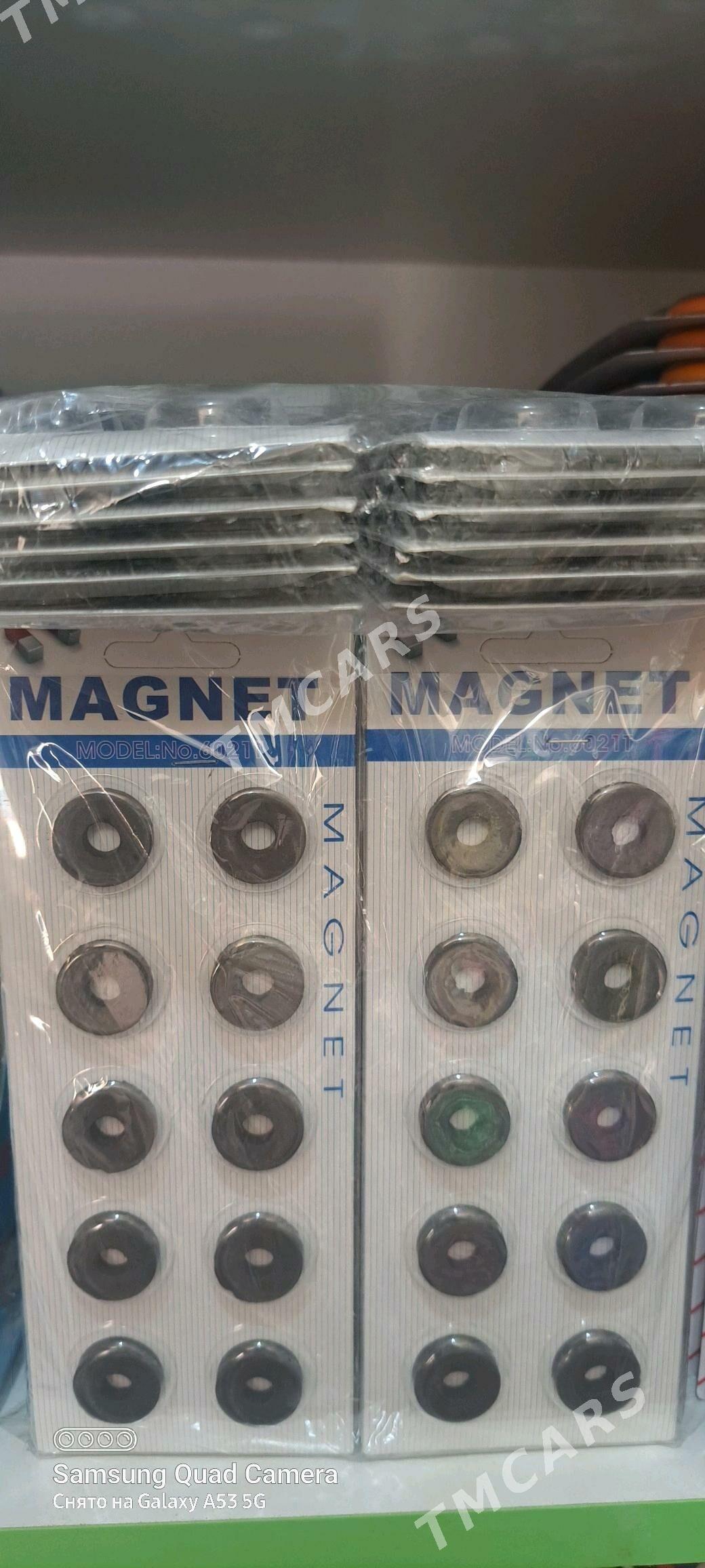 magnitlar - Mary - img 2