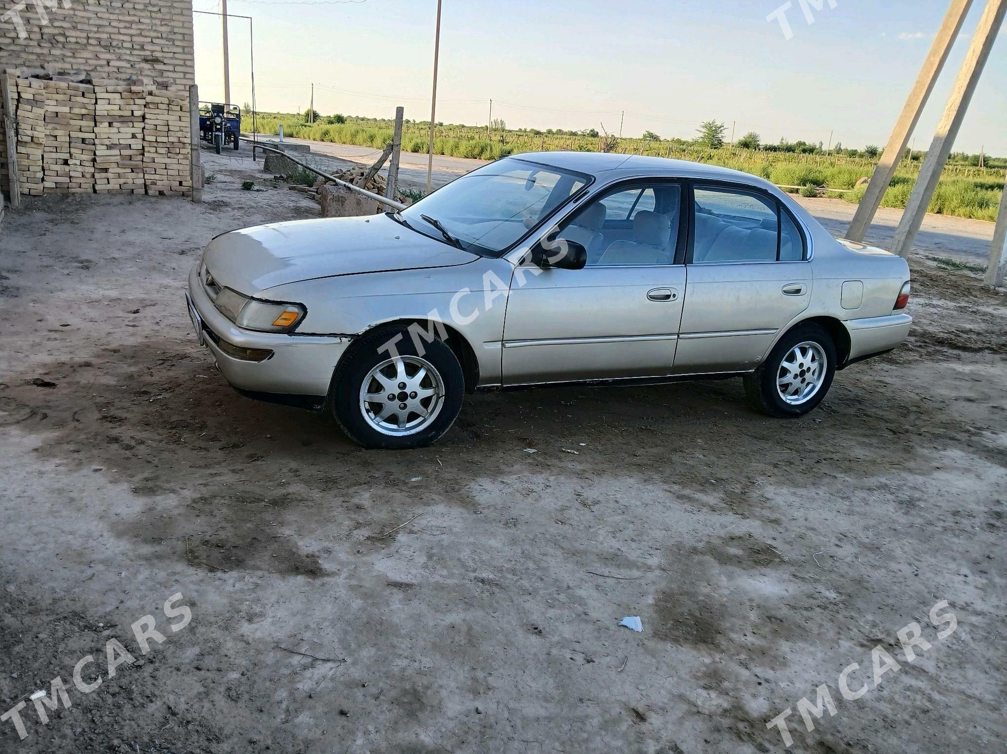 Toyota Corolla 1996 - 34 000 TMT - Garabekewül - img 5