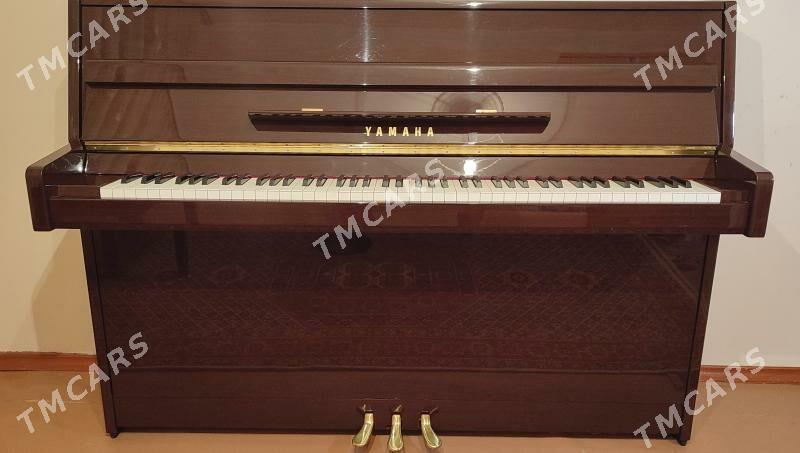 Yamaha we akkord pianino пиани - Aşgabat - img 3